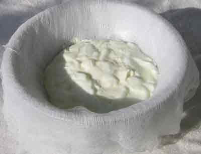 draining-yogurt-put-yogurt-in-cheesecloth.jpg