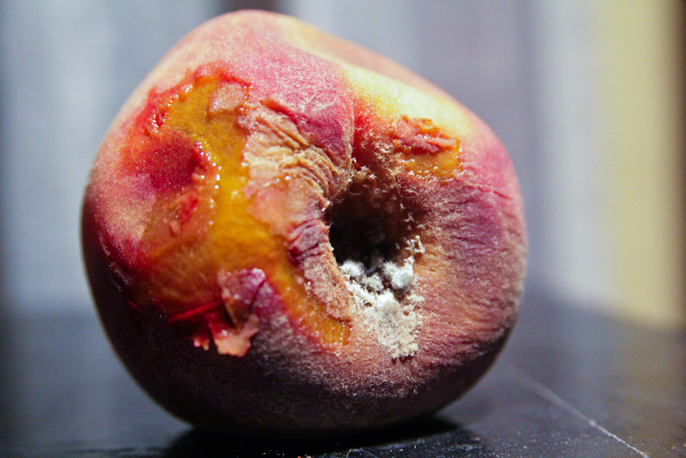 rotten-peach.jpg