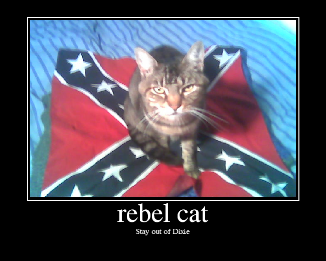 rebelcat.png